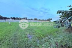 Giá rẻ quá 500m2 đường container chạy vi vu gần ql 22 củ chi ngang 16.5m tiện xây bt vườn nhỉnh 5 tỷ