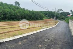 Bán đất an bình, lạc thủy kết nối ba sao hà nam bái đính ninh bình giá chỉ từ 195 triệu