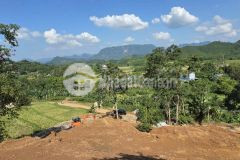 Cơ hội hiếm có sở hữu 2800m² full thổ cư chỉ 1,7trm2