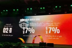 Chính sách ưu đãi đặc biệt mở bán giai đoạn đầu