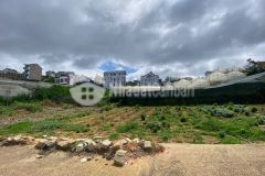 Chỉ còn 1 lô duy nhất đất đẹp đường mai xuân thưởng, phường lâm viên