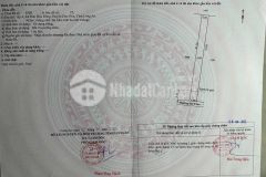 Bán đất thổ cư đường beton xe hơi ở xã đức hòa đông, đức hòa dt 303m2 giá 1,6 tỷ