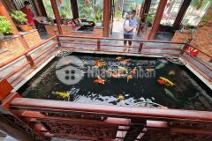 Bđs dòng tiền siêu khủng trâu quỳgia lâm biệt thự áp góc view vườn hoa 100 gỗ quý 260m2