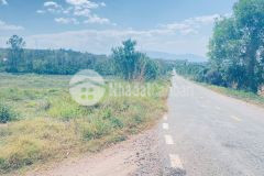 Đất 3 mặt tiền nhựa tân phú, ninh gia, lâm đồng qua cầu tân bình một đoạn