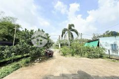 Bán nhà tặng vườn mặt tiền đường sát tỉnh lộ 15 đường xe container hơn 1278m2 nhỉnh 6 tỷ