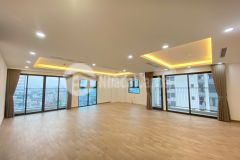 Cho thuê căn hộ cc ct5 lê đức thọ, mỹ đình, nam từ liêm 135m, 3pn2vs giá 19tr