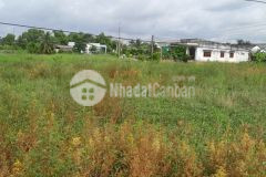 Sang ngang lô đất thổ 150m2 đường nguyễn trung trực, bến lức shr 2 tỷ 700 triệu