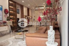 Cho thuê nhà 50m x 4 tầng ngõ 165 dương quảng hàm, cầu giấy nhà đẹp full đồ