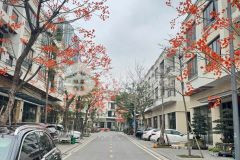 Bán căn liền kề khu vườn thiền, ecopark hải dương, 96m2, mt 6m, 3.5 tầng, vị trí đẹp, giá tốt