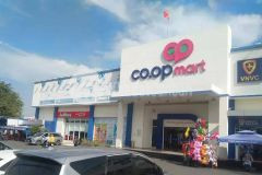 Kẹt tiền xây nhà bán lô đất 100m2 gần co.op bến lức 1.8 tỷ shr