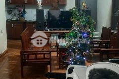 Lô góc cực đẹp nhà dân xây xịn ngõ thông thoáng sáng tiện ích ngập tràn