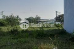 Bán nhanh 125m đất mt phan văn mảng tt bến lức, 3 tỷ 800 triệu