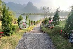 Chậm 1 nhịp mất cả một chu kỳ tăng giá tại utopia