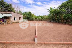 Siêu phẩm cặp lô liền kề 300m2 full đất ở sau chợ lạc thành giá đầu tư 690 triệu lô