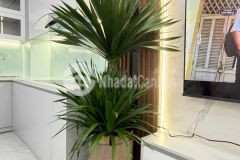 Bán nhà thụy khuê, tây hồ, dọn vào ở ngay, 5 tầng, 3 ngủ, nhà đẹp ảnh thật