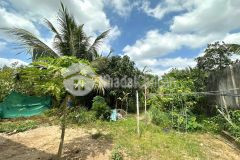 Bán biệt thự sân vườn tâm huyết 955m2 mặt tiền lộ sông, giáp kdc tân phú 700m