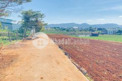 Bán 4 lô đất hẻm tổ 33, thông 2 đầu, đức trọng, lâm đồng