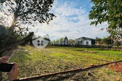 Cần bán lô đất tích phú giá chỉ nhỉnh 1 tỷ