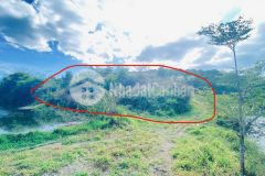 1 lô đất thuộc xã ninh gia, đức trọng cũ, lâm đồng, sau bách hóa xanh đi vào