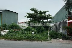 Bán mãnh đất phan văn mãng tt bến lức dt 5 x 73m shr