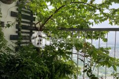 Bán căn hộ chung cư golden palace mễ trì 118m 3pn full đồ giá 10 tỷ