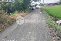 Bán đất thổ cư đường beton xã tân lân, cần đước dt 1000m2 3,699 tỷ