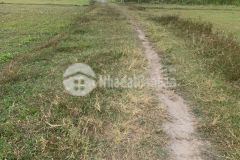 Bán lô đất mỹ hạnh bắc tdt 1240m2 300m2 thổ thích hợp phân lô, xây nhà vườn giá 4 tỷ