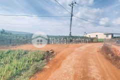 Gần 1,1 ha chỉ 11,5 tỷ, hẻm ba cản, tân hội, đức trọng cũ, lâm đồng