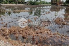 Bán lô đất dt lớn xã hựu thạnh, đức hòa tdt 5456m2 197m2 thổ giá 3,45 tỷ