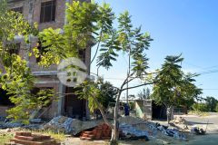 Quỹ đất giáp hội an cơ hội tích sản an toàn