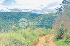 4,6 sào đất ninh gia, đức trọng cũ, lâm đồng, oto, xe tải vào tận nơi