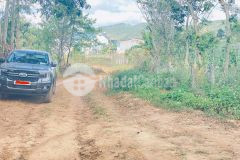 Bán 4 sào phú hội pre, đức trọng, lâm đồng, nhà c4, điện nước đầy đủ