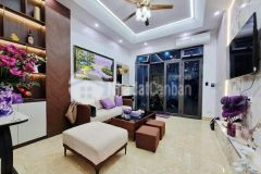 Nhà phố hồng mai, gần phố, dt 40m2, mt3.7, full nội thất, 5tầng, giá 9.xtỷ