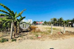 Bán đất diên sơn full thổ cư mặt đường xóm gò 14