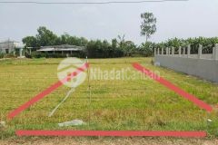 Bán đất thổ cư đường beton xe hơi tới đất ở xã hậu nghĩa, đức hòa dt 150m2 giá 850 triệu