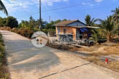 Bán đất vườn mt đường beton ba vồn lớn, thạnh hòa, bến lức dt 1000m2 giá 1,49 tỷ