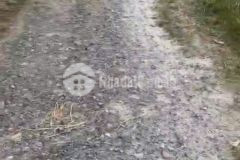 Bán đất thổ cư xã hậu nghũa, đức hòa dt 400m2 full thổ giá 2,4 tỷ