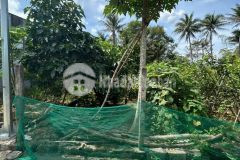 Bán đất diên lạc giá rẻ thôn thanh minh 2 khu dân cư an ninh