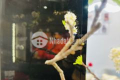 Siêu phẩm hàng hiếm cặp đập thông view biển hồ masteri waterfront, vinhomes ocean park,gia lâm,hn