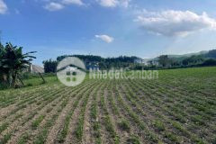 Đất làm vườn nghĩ dưỡng view sông sát đường đi núi thần tài 3800m 5.3 tỷ. lh0913913077