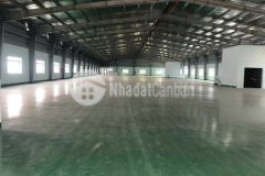 Cho thuê nhà kho 260m2 tại hoà khánh sẵn điện nước giá chỉ 12 triệutháng