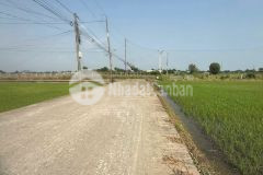 Bán nền thổ 5x28.5 mt nguyễn văn thọ ra tl833 1km thuộc xã nhựt tảo tỉnh tây ninh