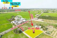 Lô thổ 5x30 mt lê văn bụi 4m cách nhựa huỳnh văn đảnh 30m đối diện động lực 827e vàm cỏ tây ninh