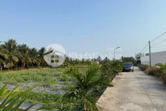 Bán nền thổ 5x29 mt đan 6m cách nhựa cao thị mai 500m đông dân cư tại xã tân trụ tỉnh tây ninh