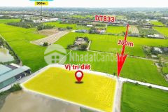 Bán nền thổ 5x34 mt đường phạm công thận ra tl833 chỉ 400m tại xã vàm cỏ tỉnh tây ninh