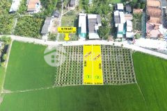 Bán đất odt 5x38,5 mt bê tông 6m ngay thị trấn tân trụ thuộc xã tân trụ tỉnh tây ninh