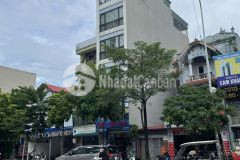 Bđs dòng tiền khủng trâu quỳgia lâm 90m2 7 tầng mặt phố thành trung, đường 30m