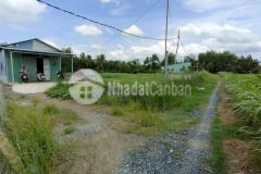 Bán 1000m2 đất lúa đường đá xanh xe hơi tới đất xã nhựt chánh, bến lức giá 1 tỷ