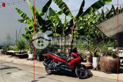 Đất đẹp phú hữu 51m² hxh 7m có vỉa hè xây 5 tầng chỉ 4,3 tỷ gần khu cnc q9