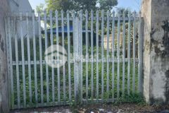 Bán đất đường beton có cổng rào ở thị trấn hậu nghĩa dt 210m2 full thổ giá 2,2 tỷ